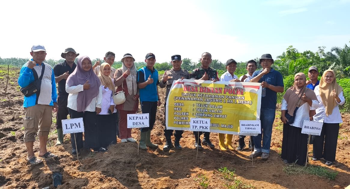Polsek Simpang Empat Polres Asahan Dukung Program Ketahanan Pangan dengan Penanaman Jagung